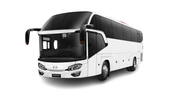 Bus Parawista — rental JollyTrans